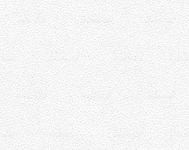 Hood Bra For Jaguar X Type 20022008