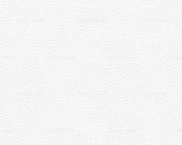 Hood Bra For Ford Mustang 2013-2014