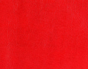 Hood Bra For Ford Mustang 2013-2014