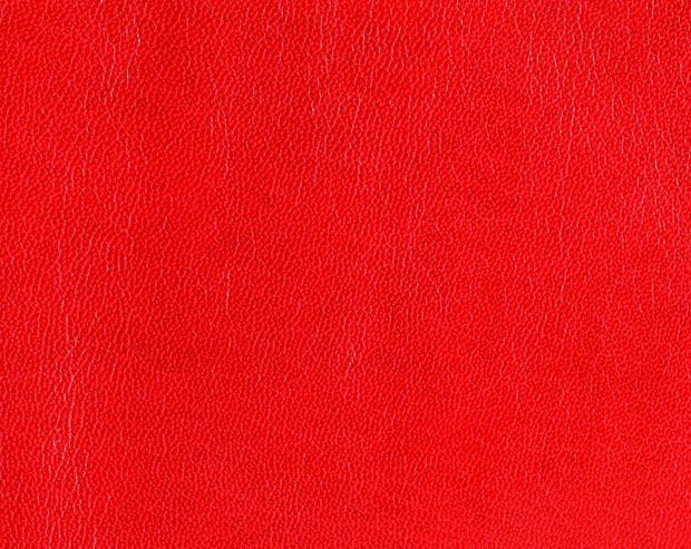 Hood Bra For Ford Mustang 2013-2014